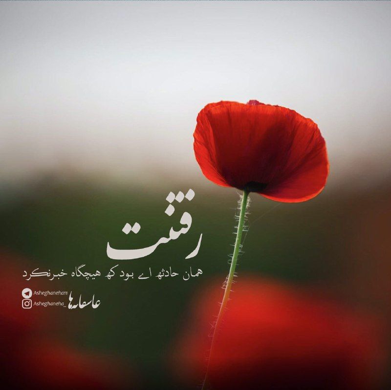 عکس پروفایل جذاب و زیبای دو نفره