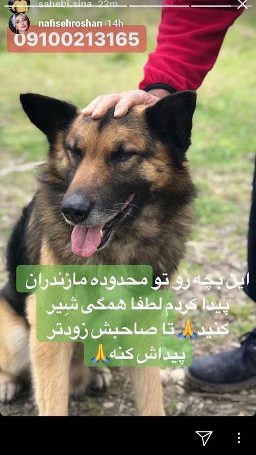 جدیدترین استوری بازیگران و ستاره های مشهور در اینستاگرام