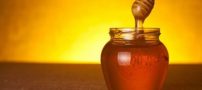 راهنمای خرید بهترین نوع عسل +فواید عسل | تشخیص عسل طبیعی اصلی