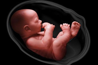 همه چیز درباره مرده زایی و فوت جنین داخل رحم