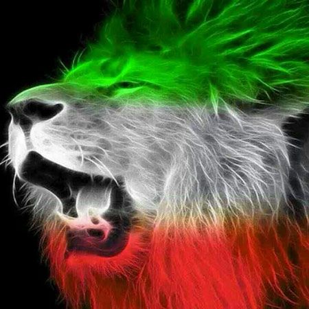 مجموعه کامل عکس پروفایل حمایت از تیم ملی ایران | عکس پروفایل برای تیم ملی