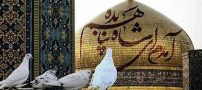 اس ام اس تبریک ولادت امام رضا (ع) + عکس پروفایل تولد امام رضا (سری جدید)