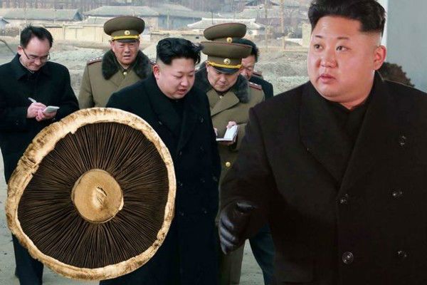 بیوگرافی کیم جونگ اون | دیکتاتور ترین رهبر حال جهان +عکس