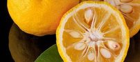 خواص نارنج برای بدن و سلامتی + مضرات و عوارض مصرف نارنج