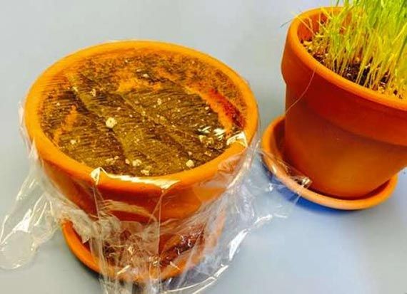 روش های خلاقانه برای استفاده از پلاستیک فریزر | ایده های کاربردی