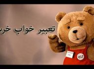 تعبیر خواب خرس + انواع نشانه شناسی دیدن خرس در خواب