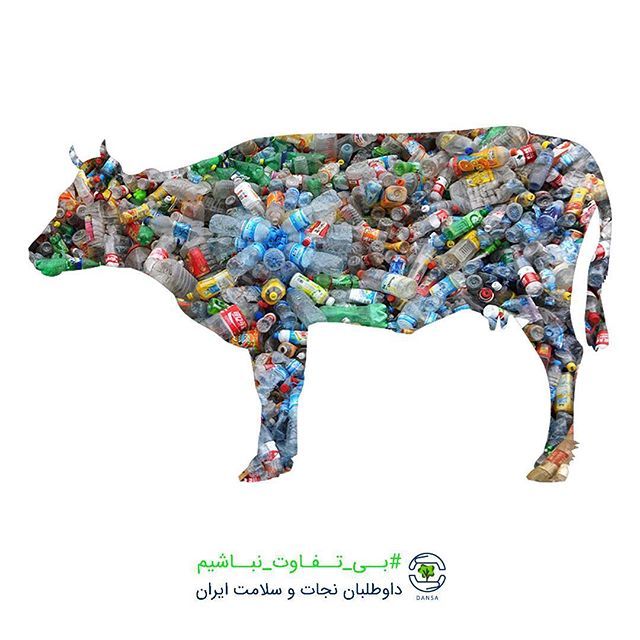 بیوگرافی اردشیر احمدی مجری و کارگردان معروف و همسرش +عکس های اردشیر احمدی
