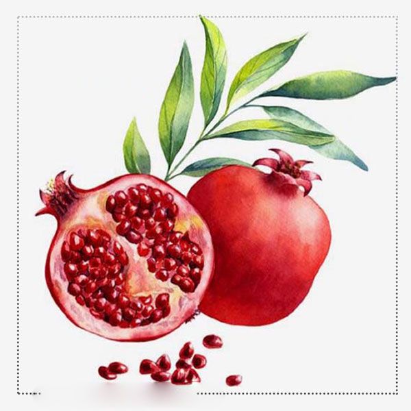 بهترین خواص انار | خواص عروس سفره یلدا برای سلامتی و زیبایی