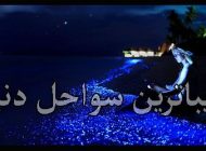 زیباترین سواحل دنیا | از کالیفرنیا تا باهاما و استرالیا