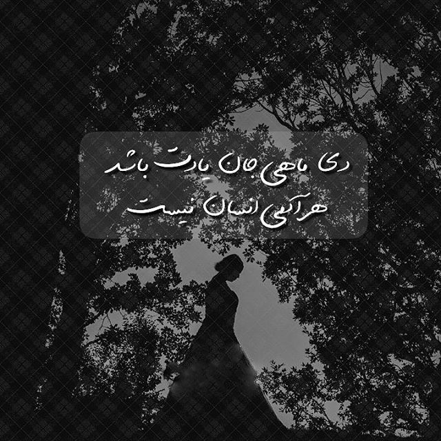 عکس پروفایل دی ماهی + شعر در مورد دی ماهی ها + متن و عکس نوشته درباره متولد دی ماه