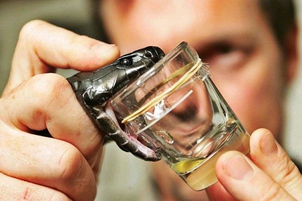 معرفی عجیب ترین و سرگرم کننده ترین شغل های جهان