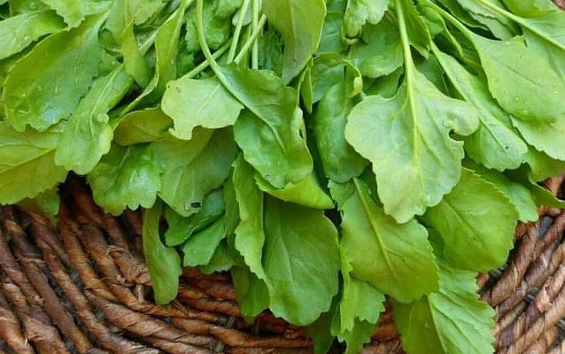 کاشت سبزی خوردن در گلدان | کدام سبزی ها بهتراند + روش کاشت