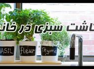 کاشت سبزی خوردن در گلدان | کدام سبزی ها بهتراند + روش کاشت