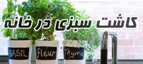 کاشت سبزی خوردن در گلدان | کدام سبزی ها بهتراند + روش کاشت