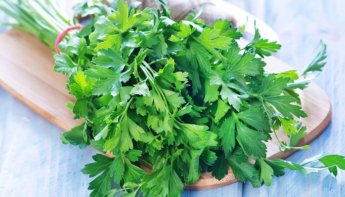 کاشت سبزی خوردن در گلدان | کدام سبزی ها بهتراند + روش کاشت