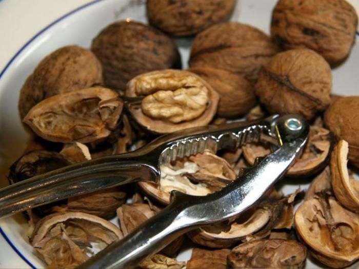 خوراکی هایی که بدن شما را سم زدایی می کنند | از چغندر تا پیاز