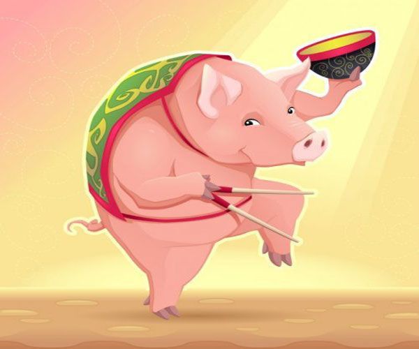 نماد حیوانی سال 1398 چیست | طالع بینی سال خوک 2019