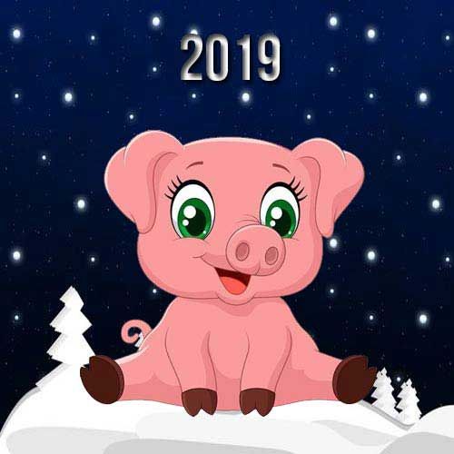 نماد حیوانی سال 1398 چیست | طالع بینی سال خوک 2019