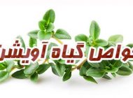 خواص و فواید آویشن | از کاهش فشار خون تا مبارزه با سرطان