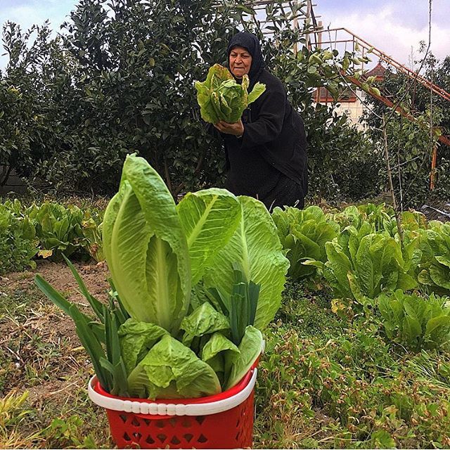 بیوگرافی شیث رضایی پسر بد فوتبال ایران + عکس های شیث رضایی و مصاحبه