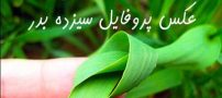 عکس پروفایل سیزده بدر ۱۴۰۳ + متن های سیزده بدر و روز طبیعت 1403