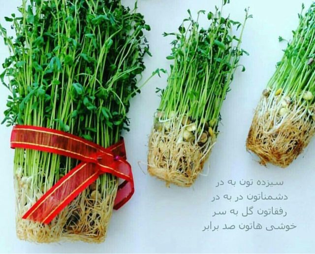 عکس پروفایل سیزده بدر ۱۴۰۳ + متن های سیزده بدر و روز طبیعت 1403