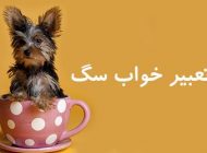 تعبیر خواب سگ | دیدن سگ در خواب چه معنایی دارد؟