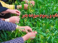 جالب ترین آداب و رسوم سیزده بدر + تاریخچه و نکات جالب روز طبیعت