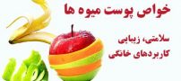 پوست کدام میوه ها خواص بیشتری دارد؟ | بهترین فواید انواع مرکبات