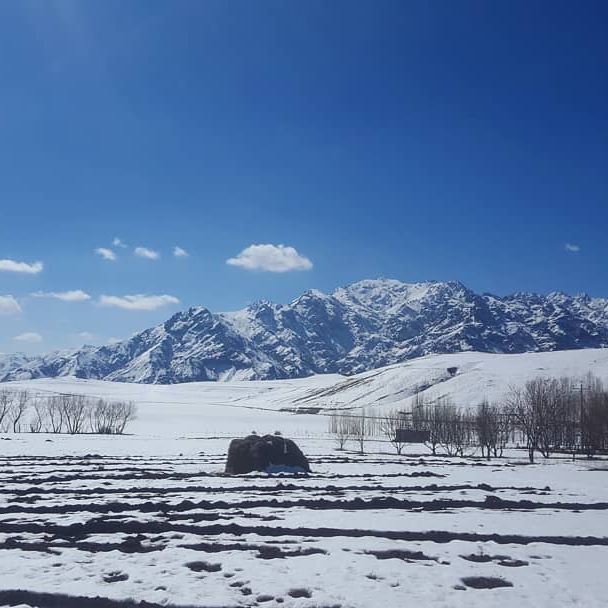 بیوگرافی هادی حجازی فر و همسرش + عکس های هادی حجازی فر + مصاحبه و اینستاگرام