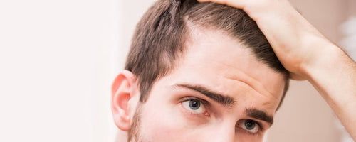 خواص قارچ گانودرما (جان افزا) | هرآنچه درمورد قارچ گانودرما باید بدانید