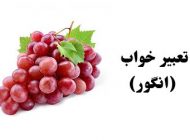 تعبیر خواب انگور | دیدن انگور در خواب چه تعابیری دارد؟