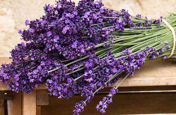 ساده ترین روش ها برای از بین بردن بوی بد کفش و پاها