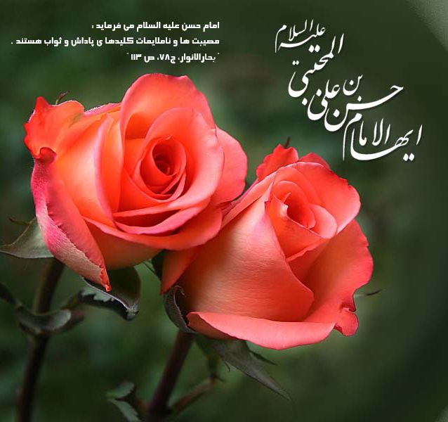 عکس و متن ولادت امام حسن مجتبی (ع) | عکس نوشته، شعر، احدیث زیبا
