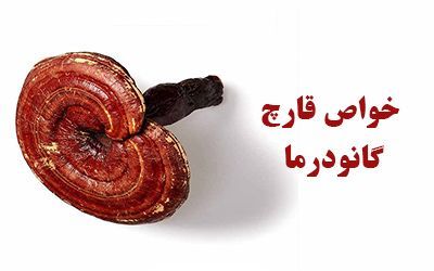 خواص قارچ گانودرما (جان افزا) | هرآنچه درمورد قارچ گانودرما باید بدانید