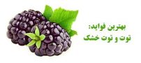 خواص توت (میوه توت و توت خشک چه فوایدی دارند؟)