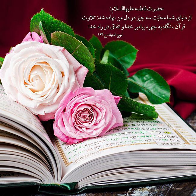 بهترین احادیث حضرت فاطمه (س) | از رفتار صحیح تا نحوه زندگی