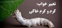 تعبیر خواب کرم | دیدن کرم در خواب چه تعابیری دارد؟