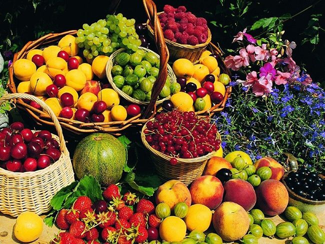 توصیه های ائمه درباره میوه ها و اهمیت تغذیه در اسلام