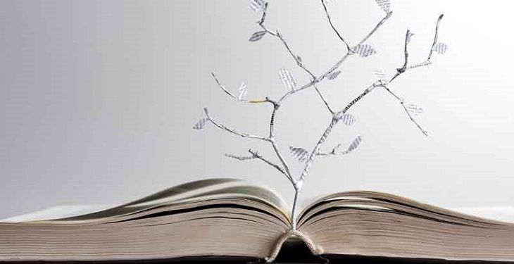 16 درس مهم در زندگی که هر فرد باید چندین بار آنها را یاد بگیرد