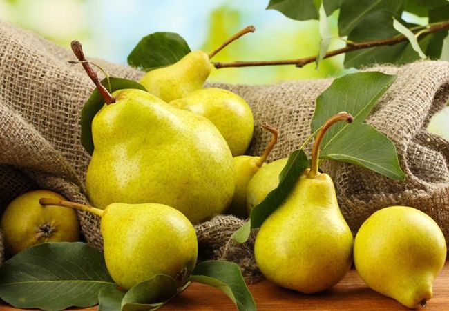 توصیه های ائمه درباره میوه ها و اهمیت تغذیه در اسلام