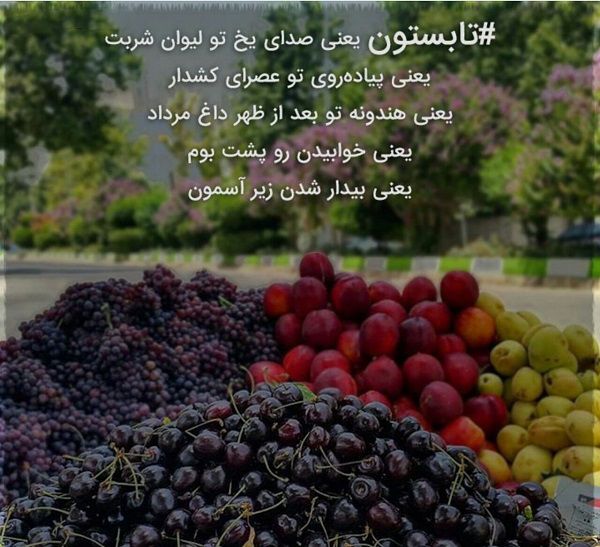 30 عکس نوشته تابستانی + متن های زیبا در مورد فصل تابستان