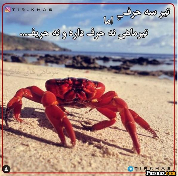تبریک تولد برای متولدین تیر ماه + متن و عکس نوشته های خاص تولد تیر ماهی ها
