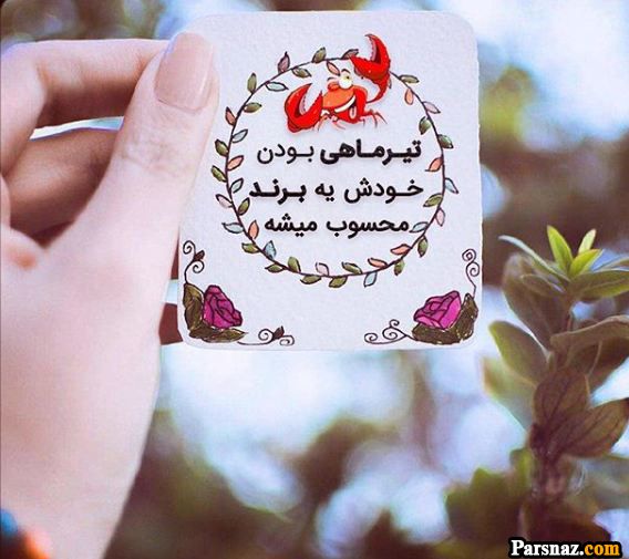 تبریک تولد برای متولدین تیر ماه + متن و عکس نوشته های خاص تولد تیر ماهی ها