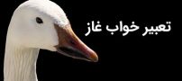 تعبیر خواب غاز | دیدن غاز در خواب چه معنایی دارد؟