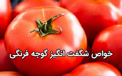 10 بهترین خواص گوجه فرنگی برای سلامتی و زیبایی