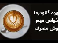 آشنایی با خواص قهوه گانودرما + روش تهیه و مصرف