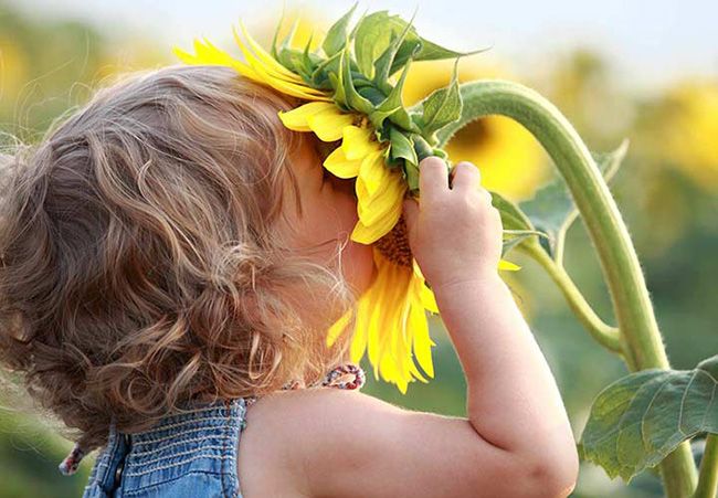 10 بهترین خوراکی برای کاهش اضطراب | غذاها و میوه های مفید و موثر