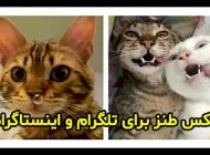 25 عکس طنز و خنده دار جدید برای تلگرام و اینستاگرام