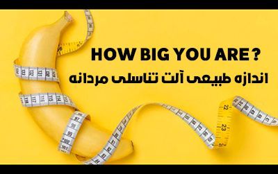اندازه طبیعی آلت تناسلی مردان | اندام تناسلی آقایان باید چند سانتی متر باشد؟